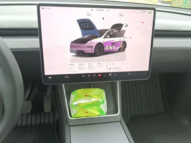Tesla Model Y — Фото автомобиля 9