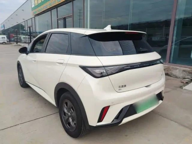 BYD Dolphin — Фото автомобиля 4