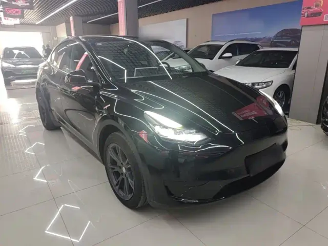 Tesla Model Y — Фото автомобиля 3