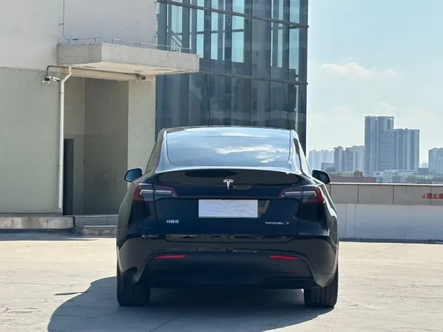 Tesla Model Y — Фото автомобиля 11
