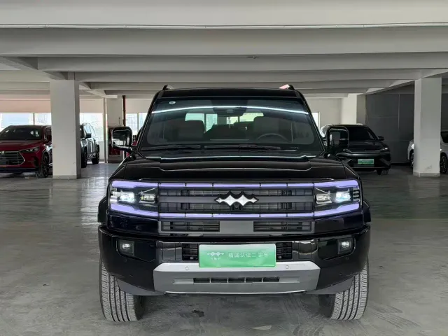 BYD FangChengBao Leopard 5 — Фото автомобиля 2