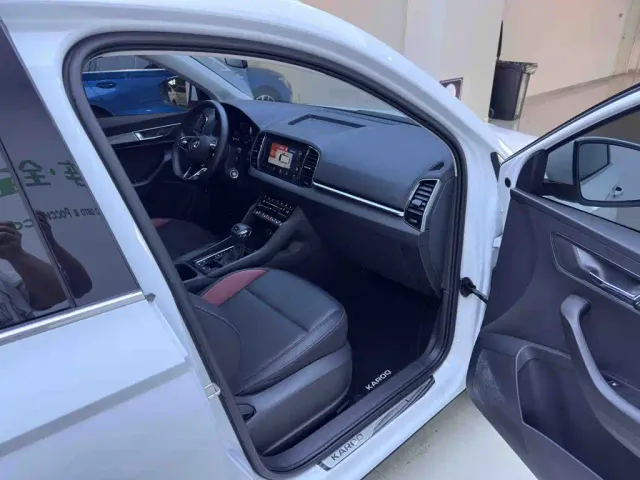 Skoda Karoq — Фото автомобиля 11