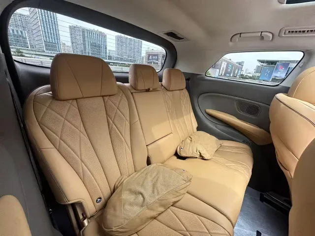 Denza D9 — Фото автомобиля 12