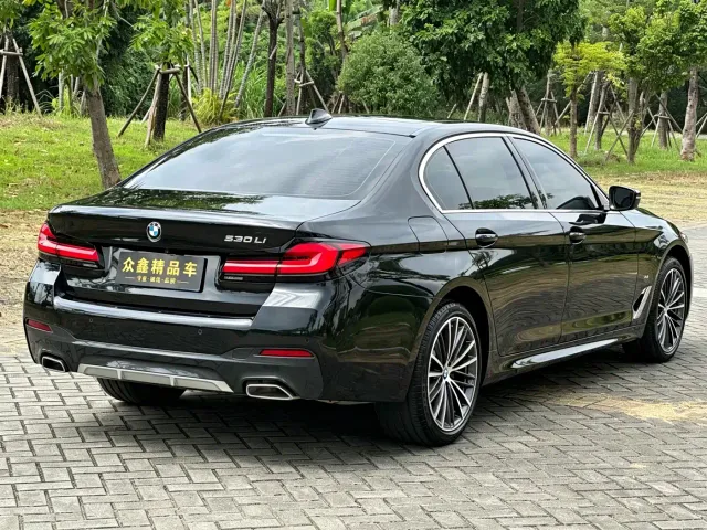 BMW 5 Series — Фото автомобиля 13