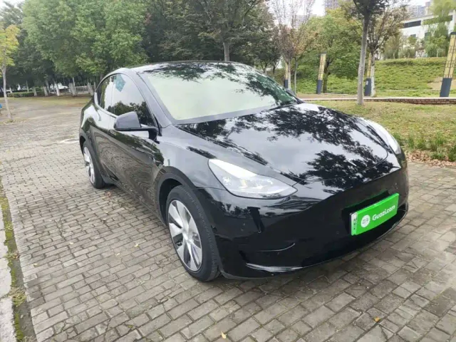 Tesla Model Y — Фото автомобиля 3
