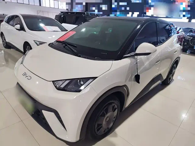 Фотография автомобиля — BYD Seagull