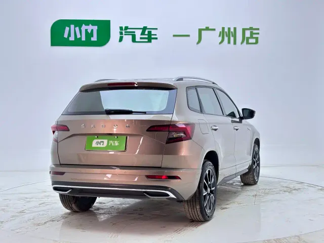 Skoda Karoq — Фото автомобиля 6