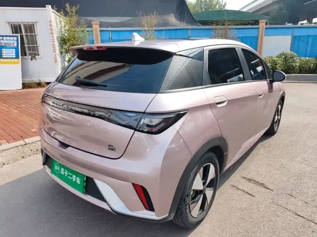 BYD Dolphin — Фото автомобиля 6