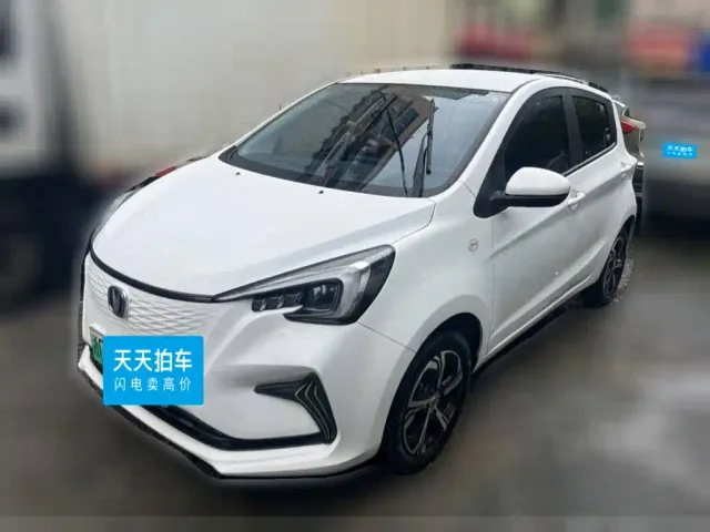 Фотография автомобиля — Changan Benben E-Star