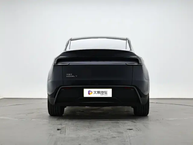 Tesla Model Y — Фото автомобиля 4
