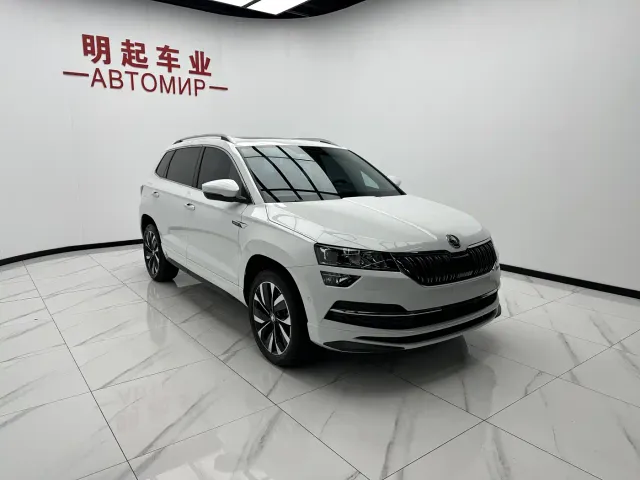 Skoda Karoq — Фото автомобиля 3