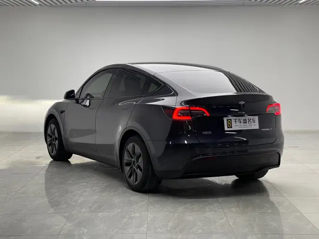Tesla Model Y — Фото автомобиля 4