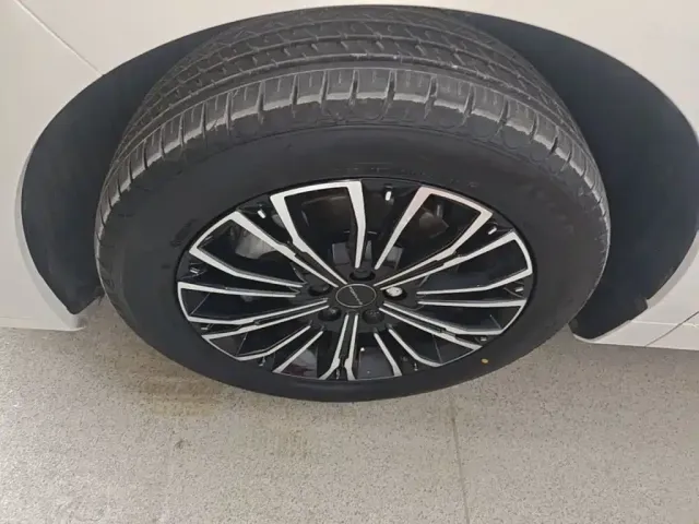 Forthing Xinghai V9 — Фото автомобиля 22
