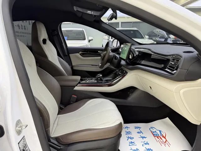 BYD Qin PLUS 2024 DM-i 120KM Navigation Glory Edition — Фото автомобиля 6