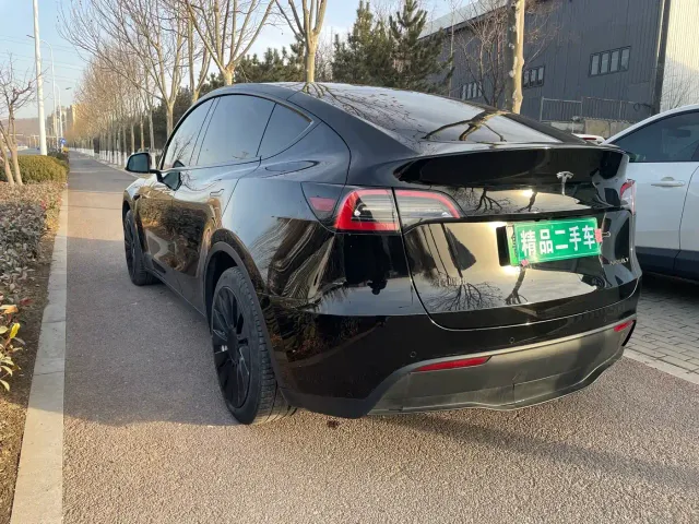 Tesla Model Y — Фото автомобиля 6