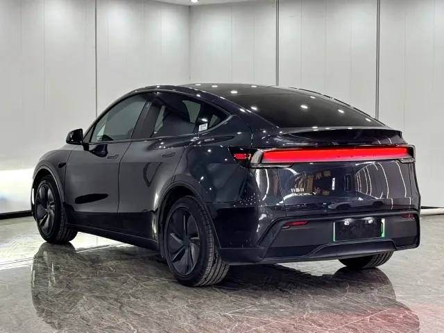 Tesla Model Y — Фото автомобиля 13