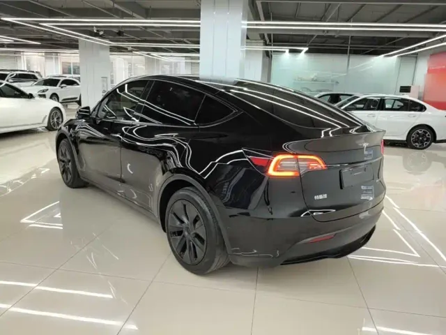 Tesla Model Y — Фото автомобиля 4