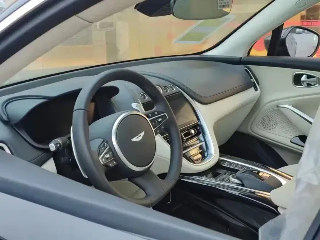 Aston Martin DBX — Фото автомобиля 13