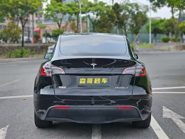Tesla Model Y — Фото автомобиля 7