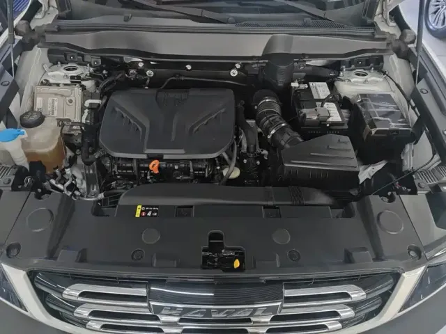 Haval Big Dog — Фото автомобиля 10