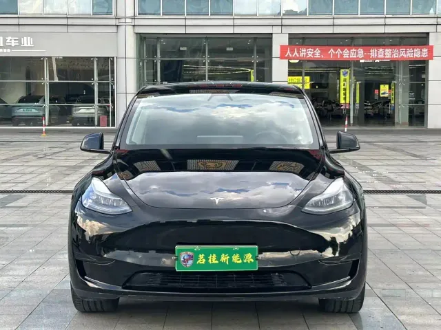 Tesla Model Y — Фото автомобиля 2