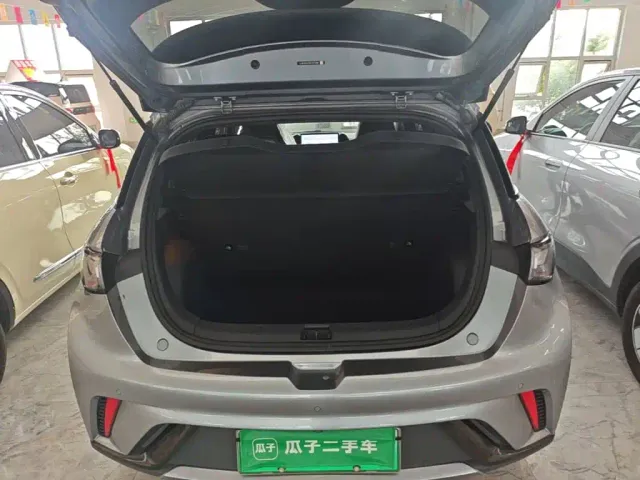 BYD Dolphin — Фото автомобиля 18