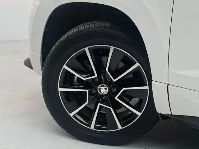 Skoda Karoq — Фото автомобиля 13
