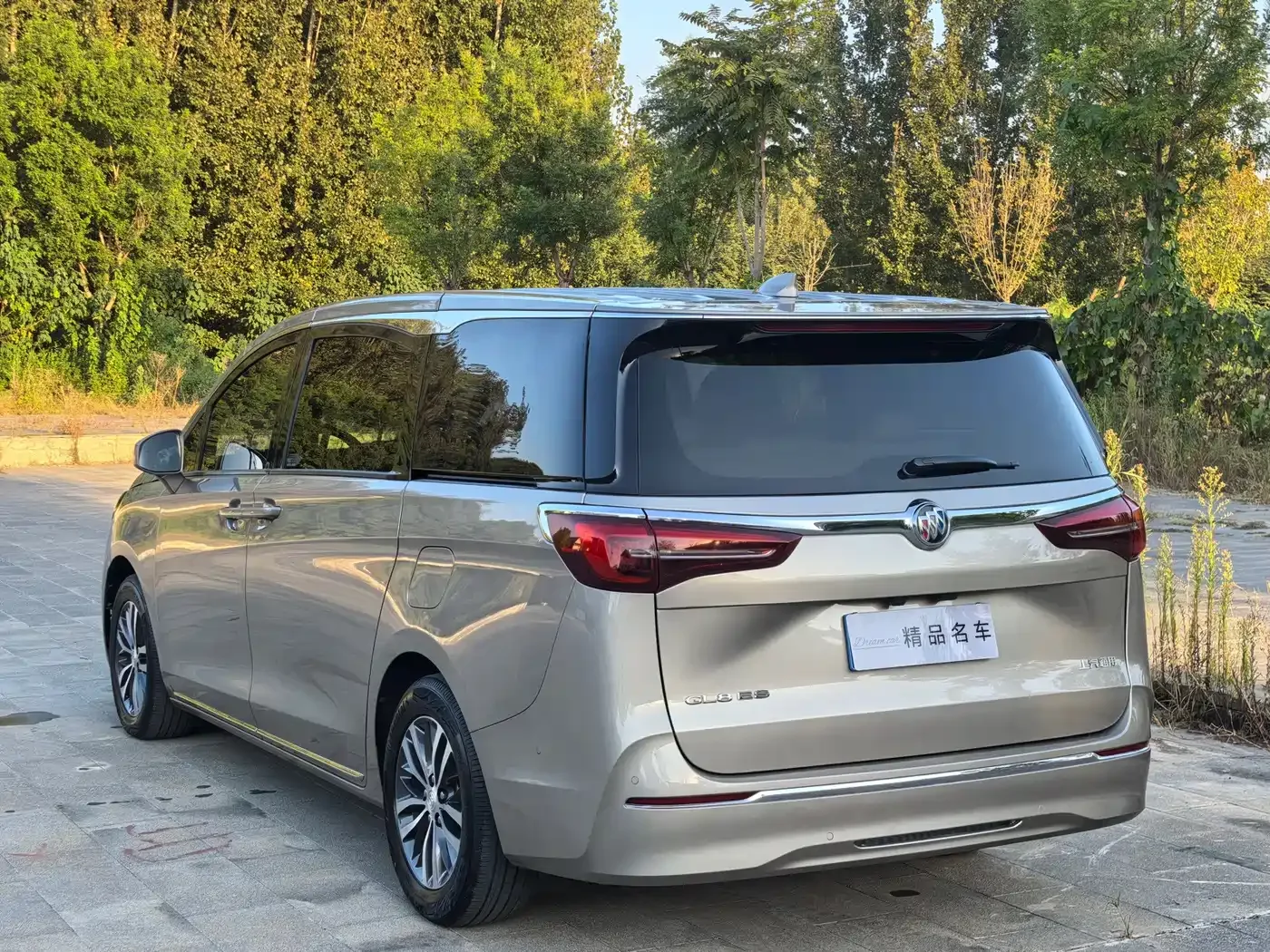 Buick Buick GL8 2023 ES Landmaster Exclusive — Фото автомобиля 5
