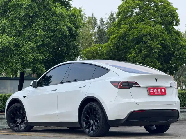 Tesla Model Y — Фото автомобиля 6