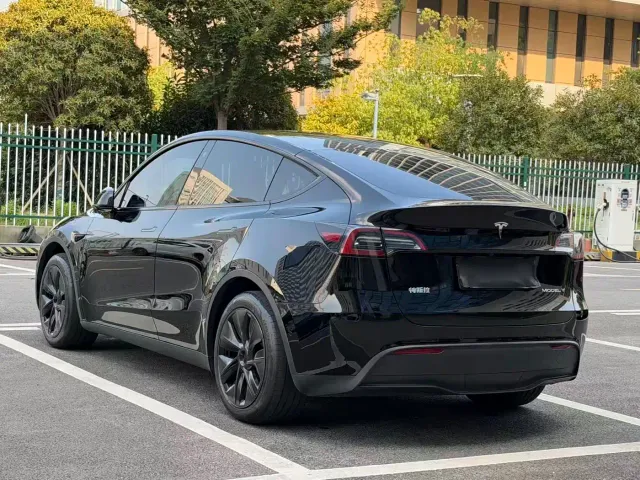 Tesla Model Y — Фото автомобиля 4