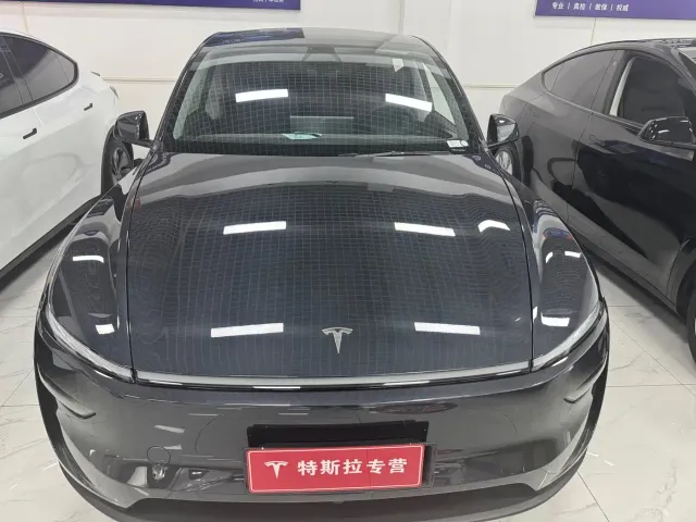 Tesla Model Y — Фото автомобиля 2