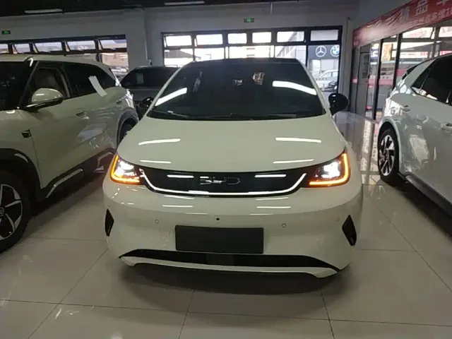 BYD Dolphin — Фото автомобиля 2