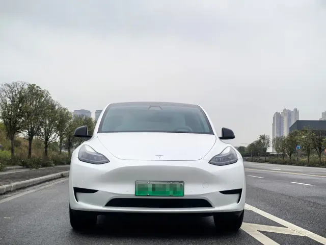 Tesla Model Y — Фото автомобиля 2