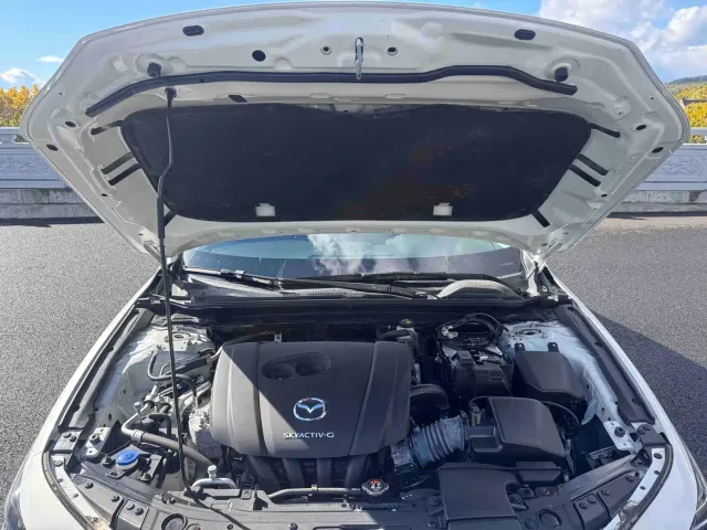 Mazda Axela — Фото автомобиля 19
