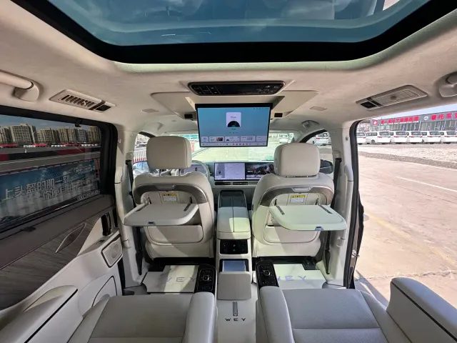 Wey Alpine — Фото автомобиля 17