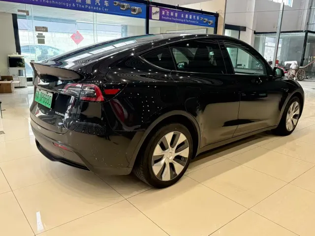 Tesla Model Y — Фото автомобиля 9