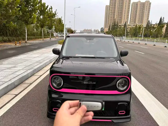 Geely Panda — Фото автомобиля 2