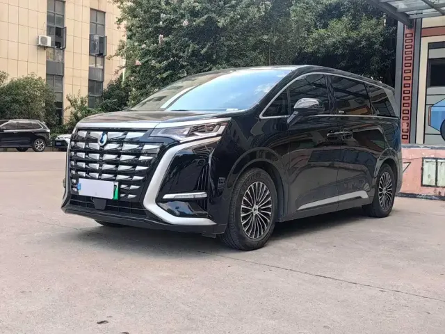 Фотография автомобиля — Denza D9