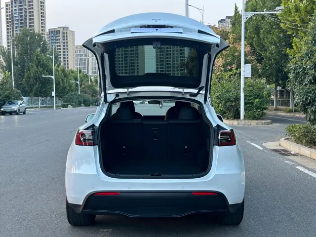 Tesla Model Y — Фото автомобиля 11