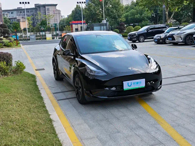 Tesla Model Y — Фото автомобиля 2