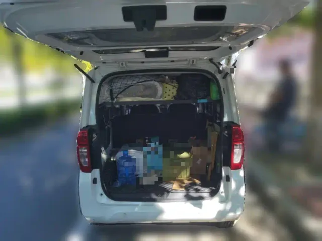 Wuling Motors Wuling Zhiguang NEV 2025 Model 305km Base Version — Фото автомобиля 15