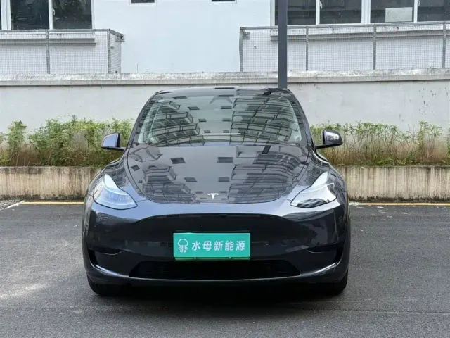 Tesla Model Y — Фото автомобиля 2