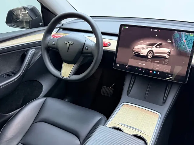 Tesla Model Y — Фото автомобиля 12