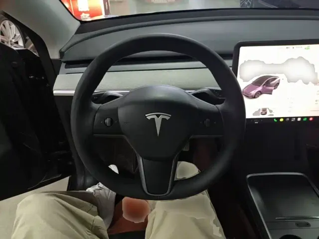 Tesla Model Y — Фото автомобиля 10