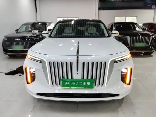 Hongqi E-HS9 — Фото автомобиля 2