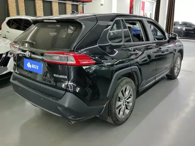 Toyota Wildlander — Фото автомобиля 3