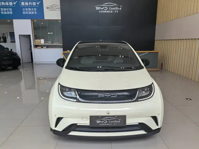 BYD Dolphin — Фото автомобиля 2