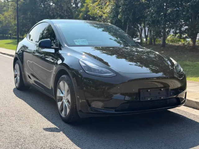 Tesla Model Y — Фото автомобиля 3