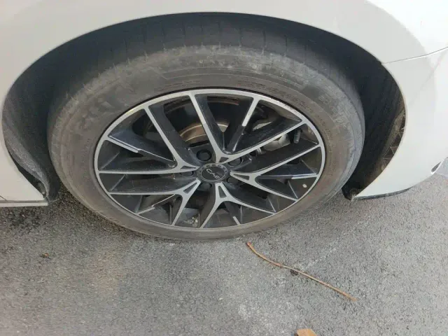 BYD Seal — Фото автомобиля 25