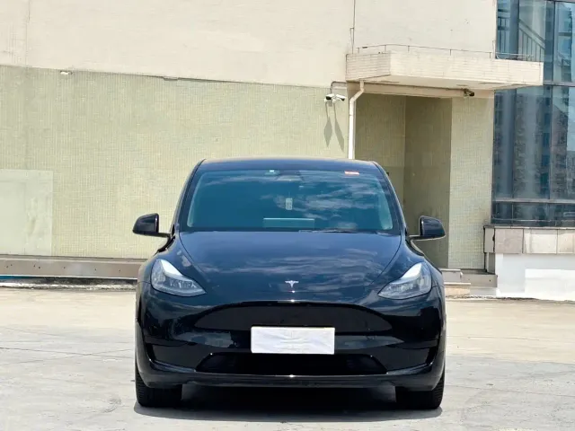 Tesla Model Y — Фото автомобиля 2